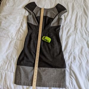 Zac Posen Denim Dress